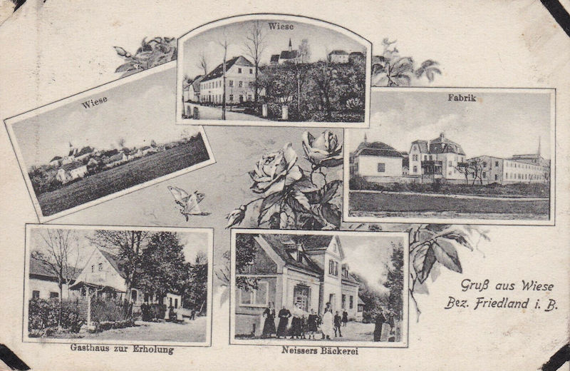 Datei:Wiese bezirk Friedland.jpg