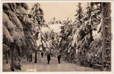Jeschken winter 1931.jpg