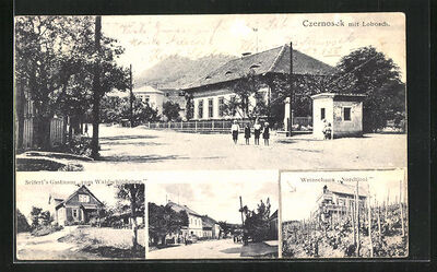AK-Czernosek-Gasthaus-Seifert-zum-Waldschloesschen-Gasthaus-Weinschank-Nordtirol-Lobosch.jpg