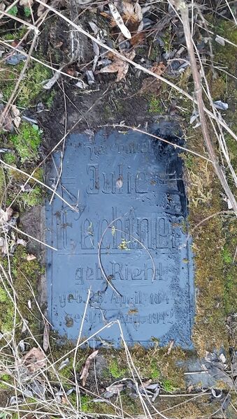 Datei:20260214 154952.jpg