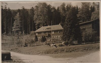 Tannenbaude bei Schmiedeberg.jpeg