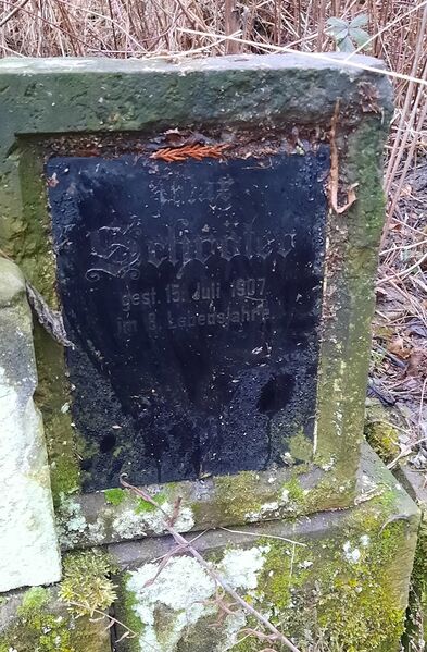 Datei:20260214 155720.jpg