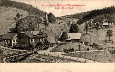 Mohornmühle Kleinaupa.jpeg