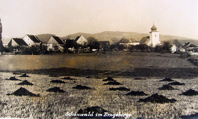 Schönwald-erzgen.jpg