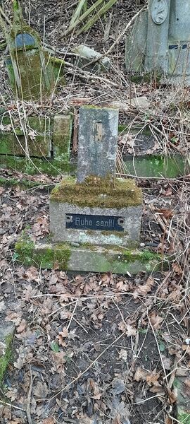 Datei:20260214 155114.jpg