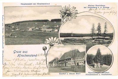 Hirschenstand 1905.jpg