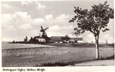 Striegau windmühle.jpg