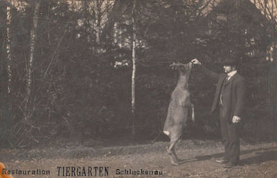 Schluckenau rest Tiergarten.jpg