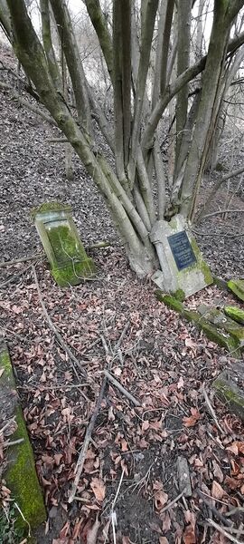 Datei:20260214 155502.jpg